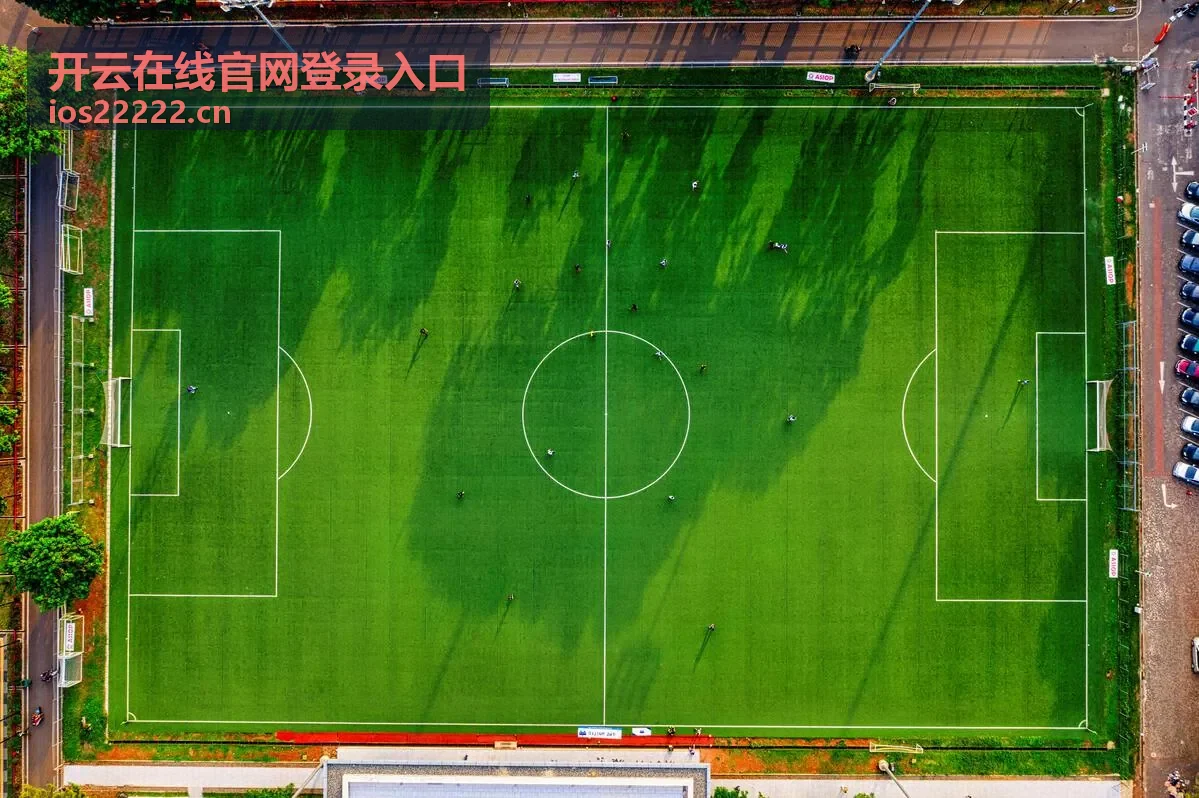 开云在线官网登录异常排查指引教程