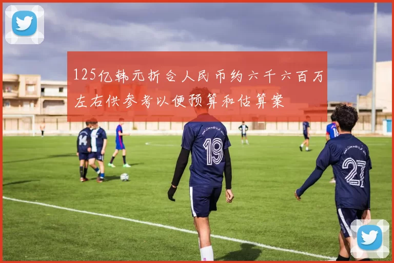 125亿韩元折合人民币约六千六百万左右供参考以便预算和估算案