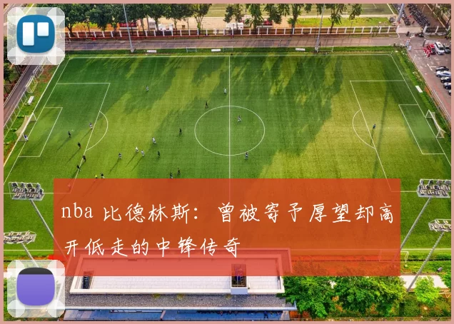 nba 比德林斯：曾被寄予厚望却高开低走的中锋传奇